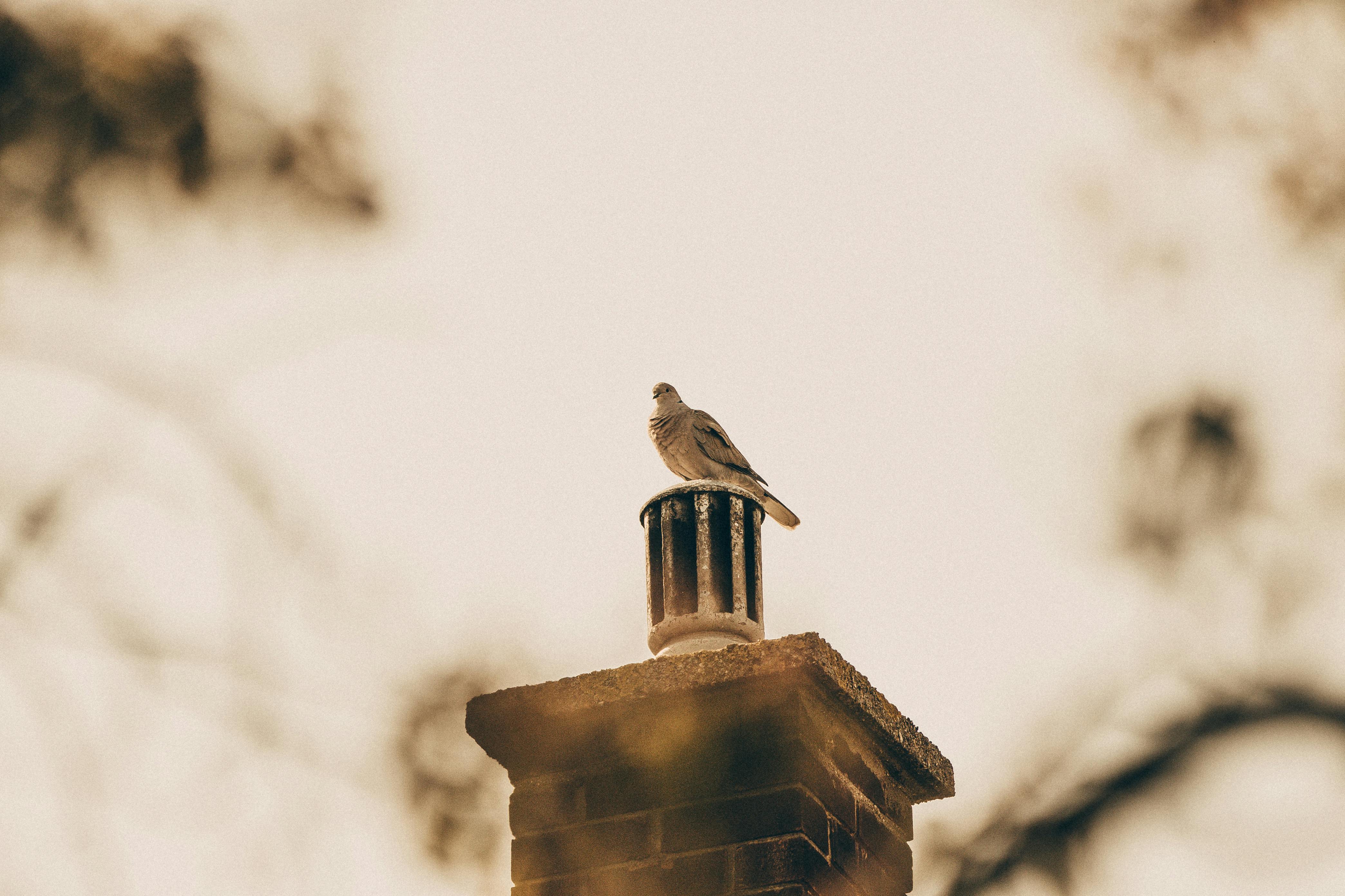 Expert Chimney Cap Installation in Commerce, California